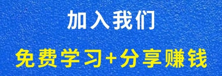 白菜价解锁20000+N个赚钱机会，加入网创终点站会员，全站资源免费学习。-网创终点站
