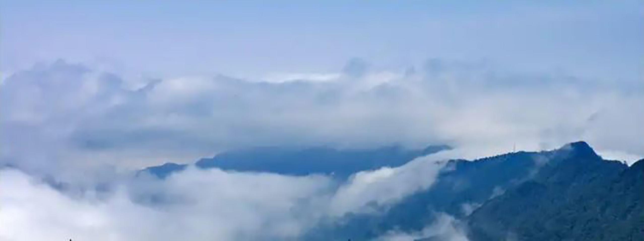 网创终点站-分享网络创业落地实操课程